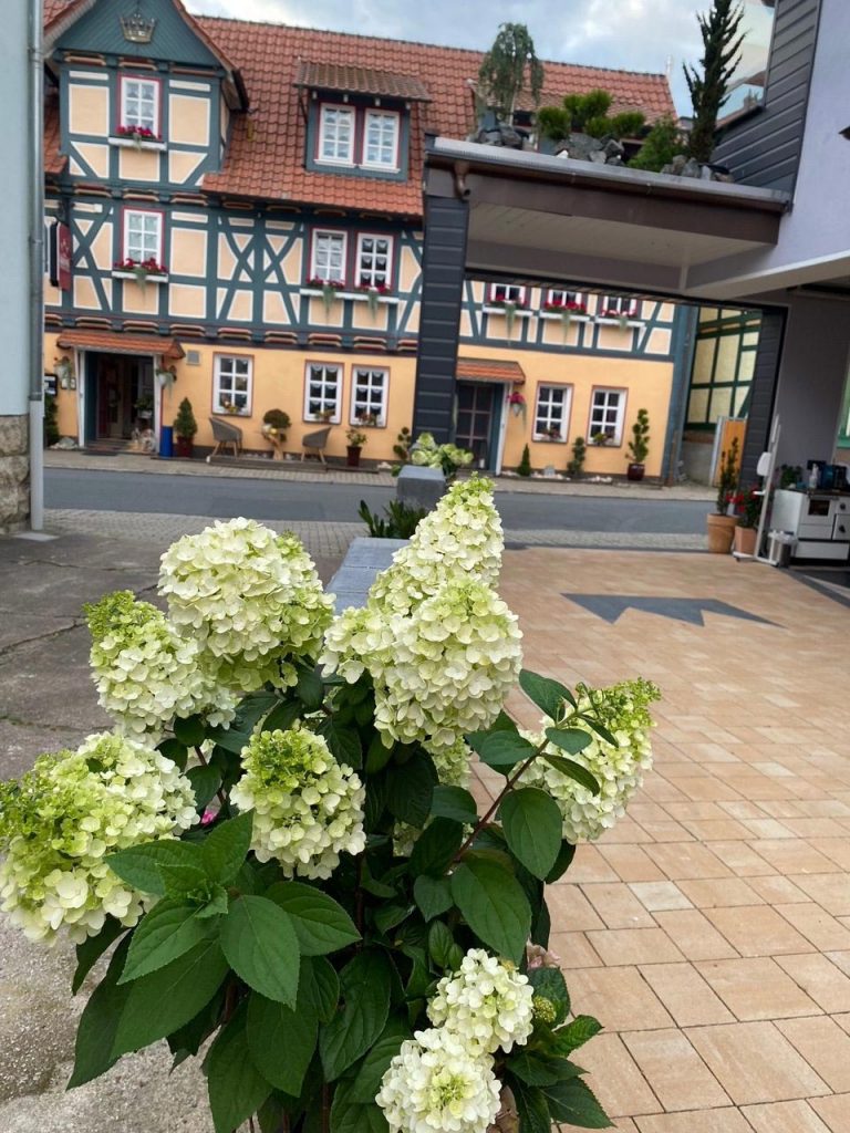 Hofbereich mit Blumen in der Hotelpension zur Krone in Martinfeld